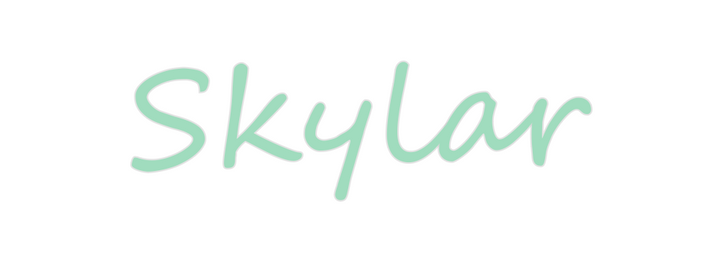 Create your Neon Sign Skylar