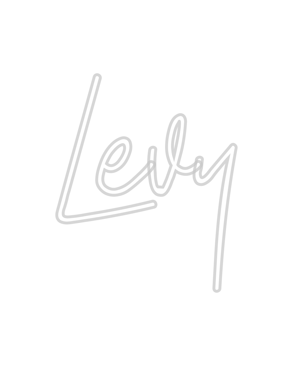 Create your Neon Sign Levy